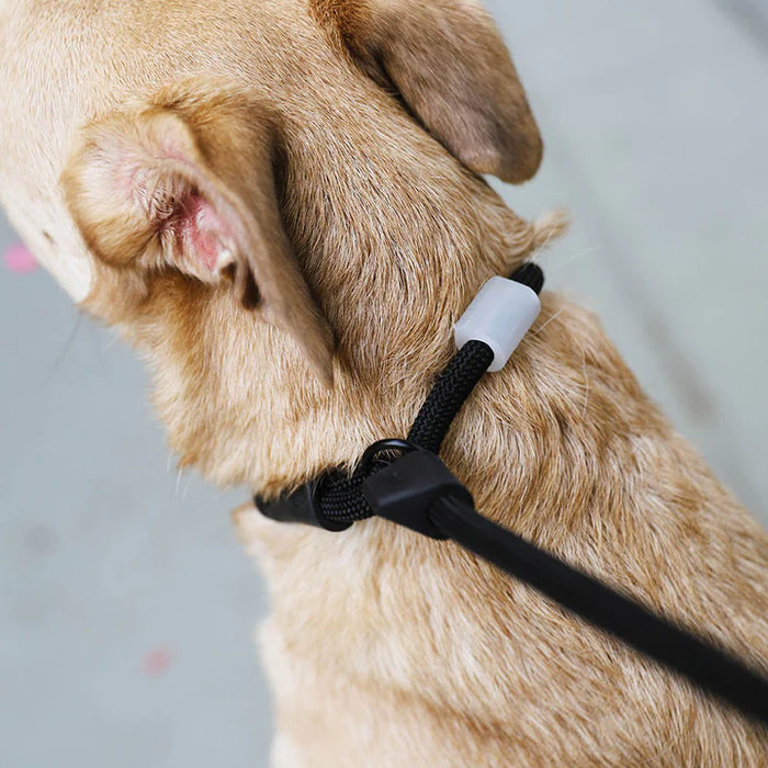 10% OFF: Zee Dog Slip-N-Lock Gotham Leash For Dogs