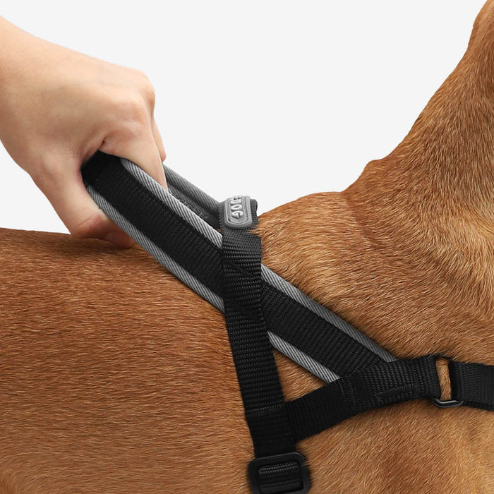10% OFF: Zee Dog Gotham Softer Walk Harness For Dogs