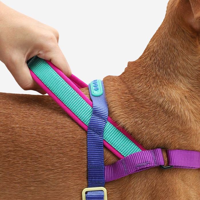 10% OFF: Zee Dog Shockwave Softer Walk Harness For Dogs