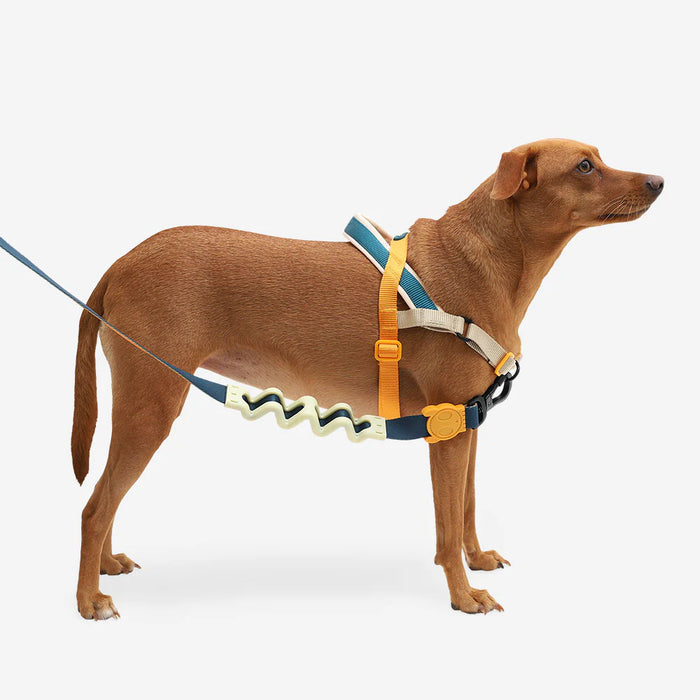 10% OFF: Zee Dog Voyage Softer Walk Harness For Dogs