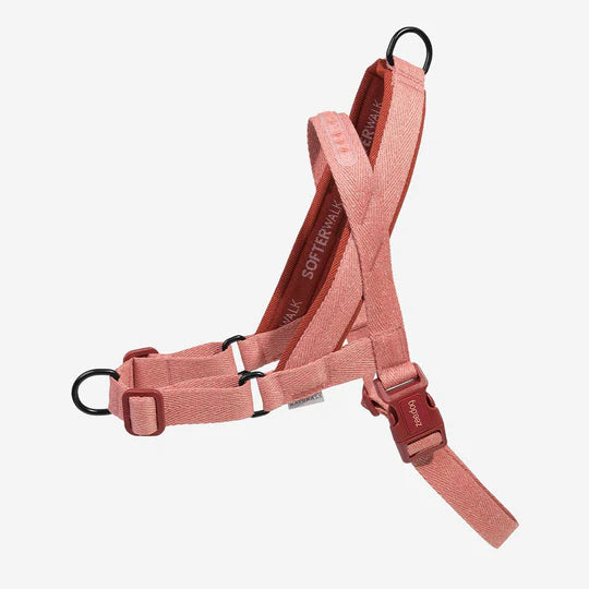 10% OFF: Zee Dog Canyon Walk Harness For Dogs
