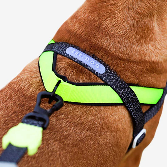 10% OFF: Zee Dog Nox Softer Walk Harness For Dogs