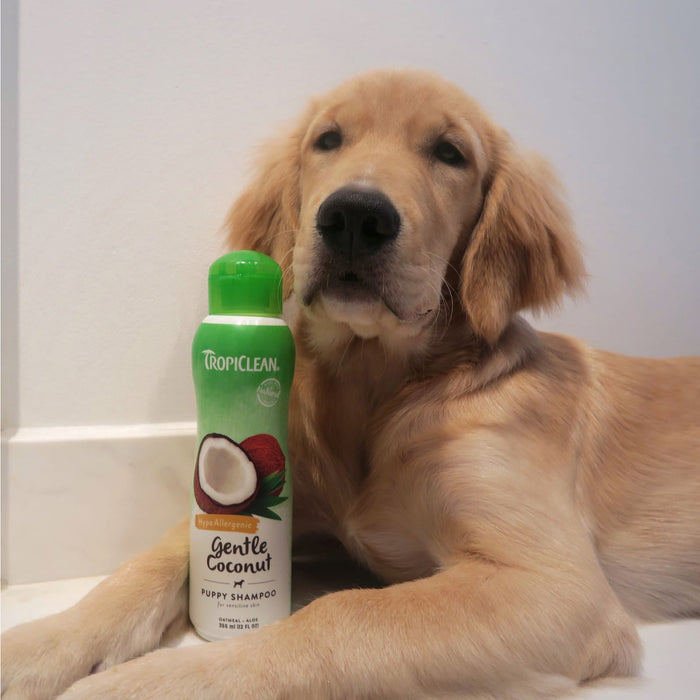 20% OFF: TropiClean Gentle Coconut Hypoallergenic Shampoo For Puppies & Kittens
