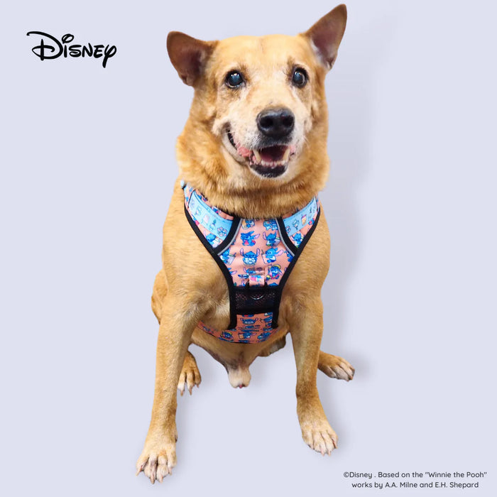 Disney Foodie Stitch Adventure Harness