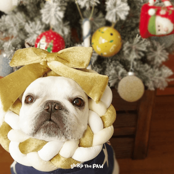Shop The Paw Christmas Gold Wreath Toy