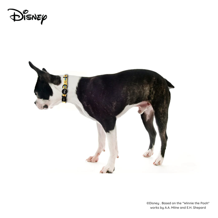 Disney Winnie The Pooh Yellow Collar For Dogs