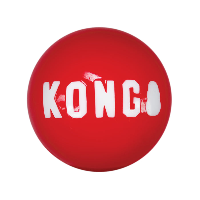 20% OFF: Kong® Signature Ball Dog Toy