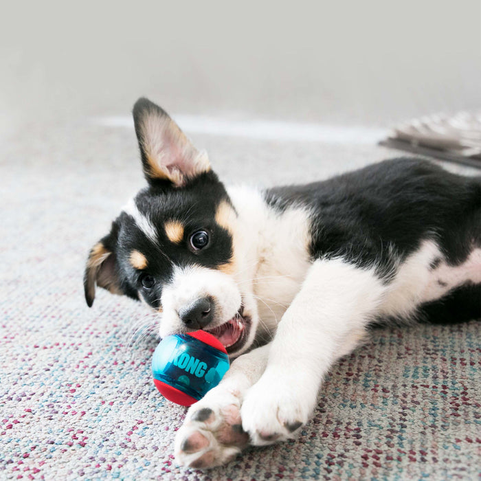 20% OFF: Kong® Squeezz Action Red Ball Dog Toy