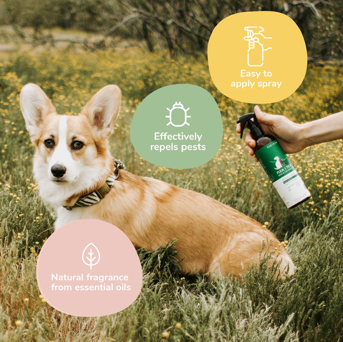Kin + Kind Lemongrass Flea + Tick Prevent Protect Spray For Pets