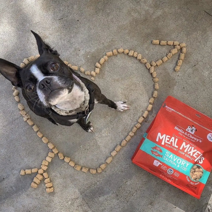 Stella & Chewy’s Freeze-Dried Raw Savory Salmon & Cod Meal Mixers For Dogs