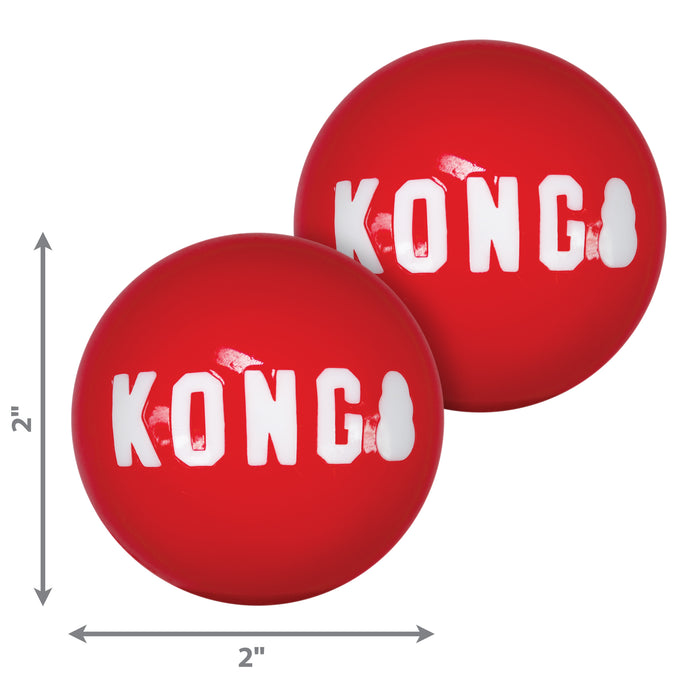 20% OFF: Kong® Signature Ball Dog Toy