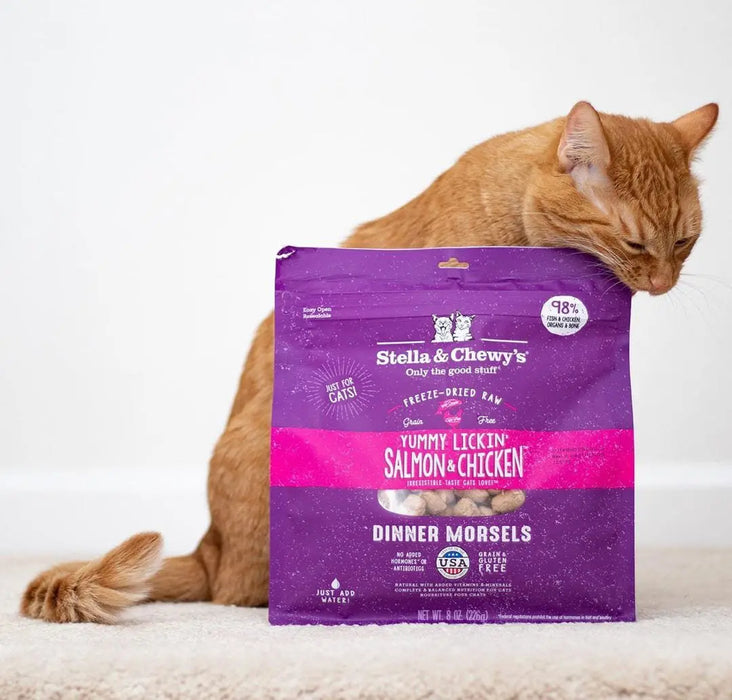 Stella & Chewy's Freeze-Dried Raw Yummy Lickin’ Salmon & Chicken Dinner Morsels For Cats