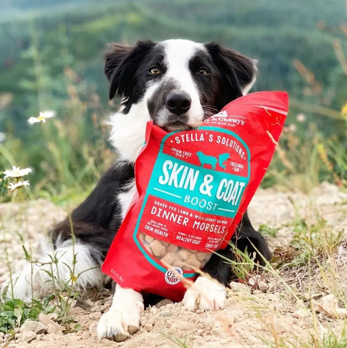 Stella & Chewy Stella's Solution Skin & Coat Boost With Freeze Dried Raw Lamb & Salmon Dinner Morsels For Dogs