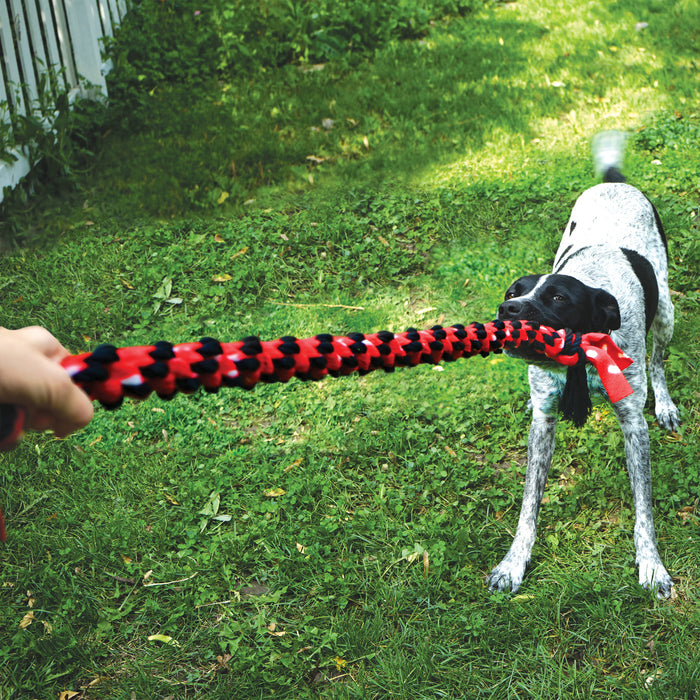20% OFF: Kong® Signature Double Tug Rope Dog Toy