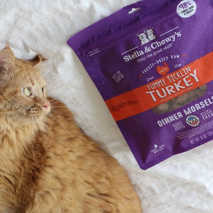 Stella & Chewy's Freeze-Dried Raw Tummy Ticklin’ Turkey Dinner Morsels For Cats