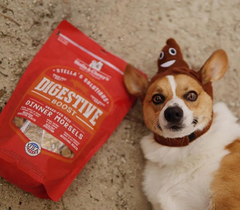 Stella & Chewy Stella's Solution Digestive Boost With Freeze Dried Raw Beef Dinner Morsels For Dogs