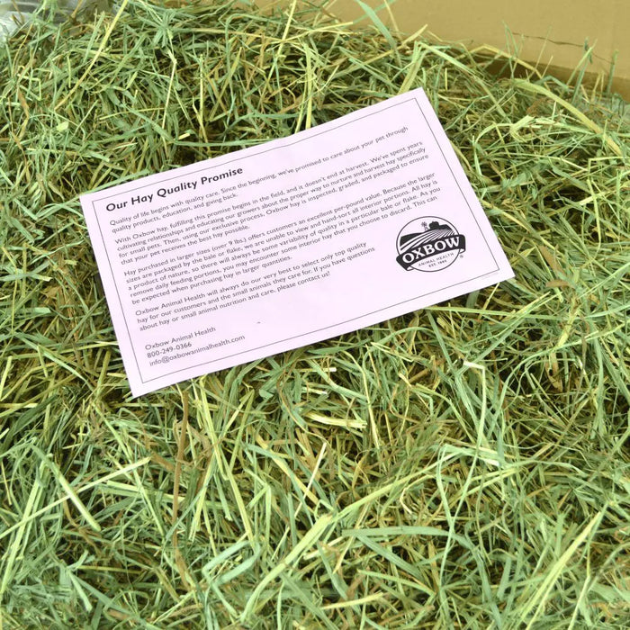20% OFF: Oxbow Orchard Grass Hay