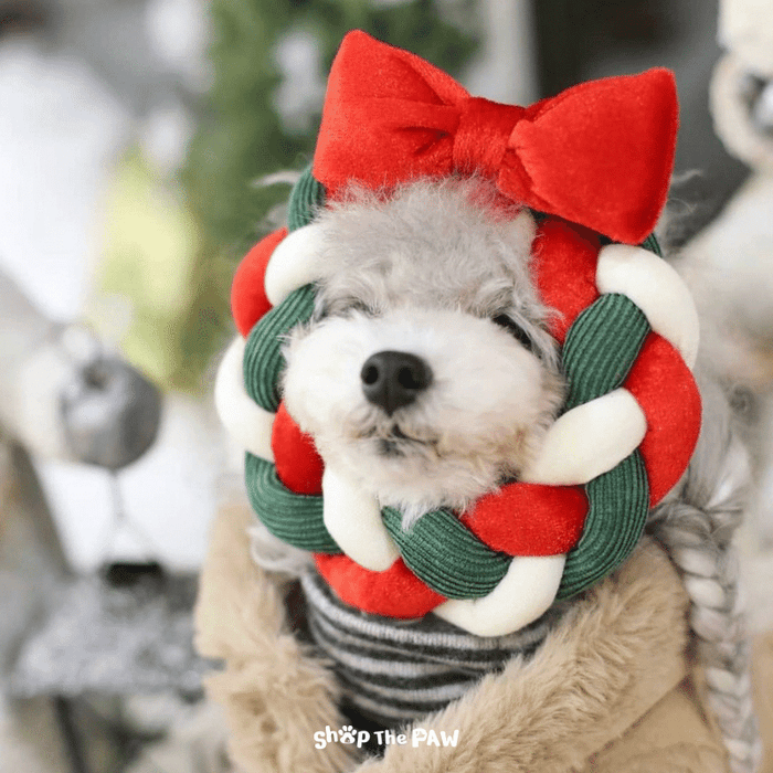 Shop The Paw Christmas Wreath With Ornament Ball Toy