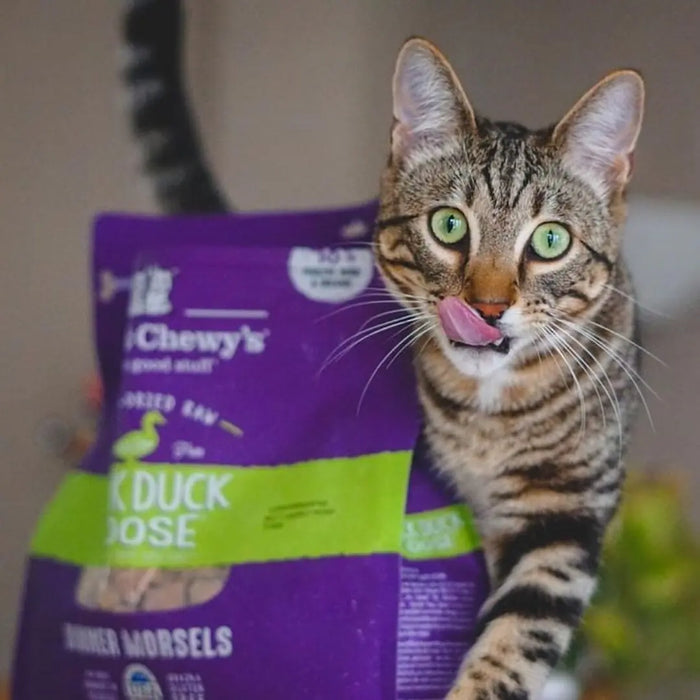 Stella & Chewy's Freeze-Dried Raw Duck Duck Goose Dinner Morsels For Cats
