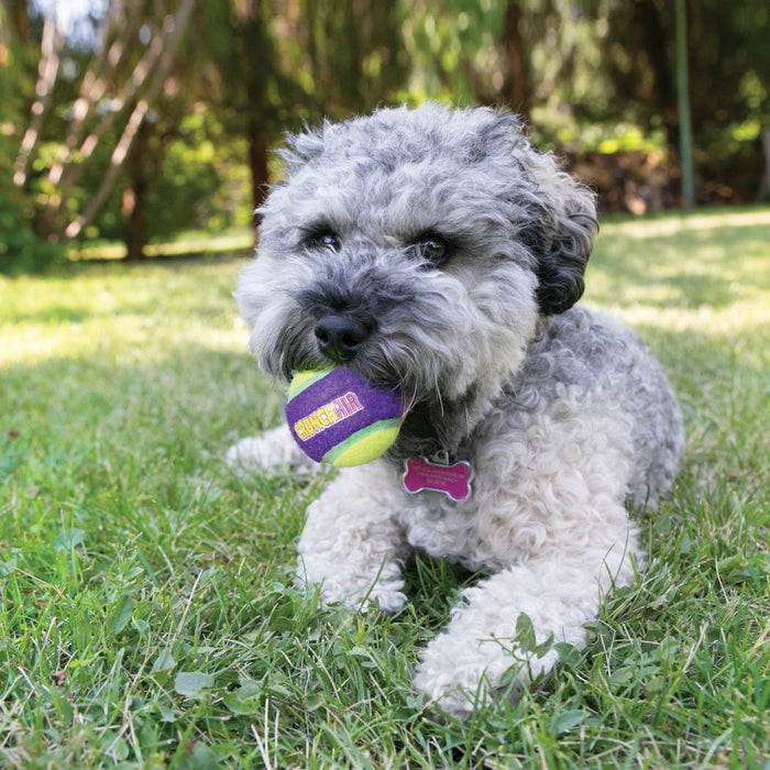 20% OFF: Kong® CrunchAir Balls Dog Toy