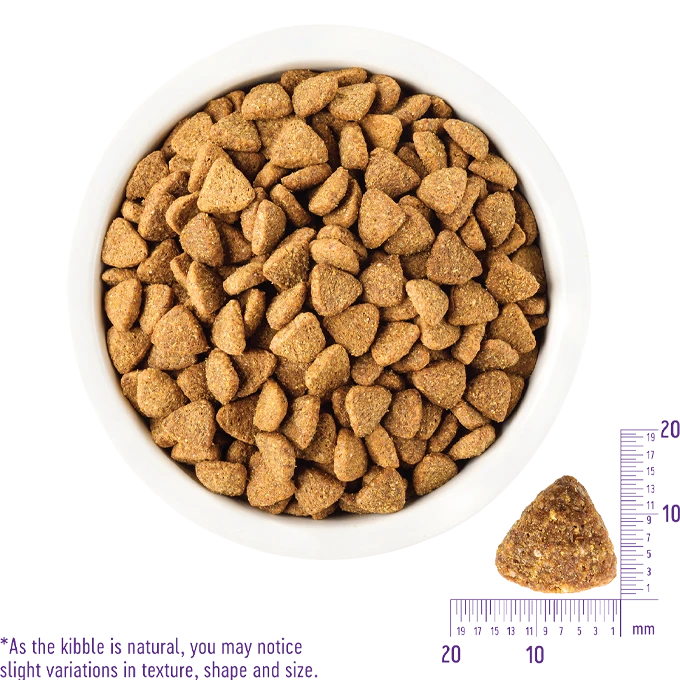 20% OFF + FREE WET FOOD: Wellness CORE Grain Free Large Breed Puppy Dry Dog Food