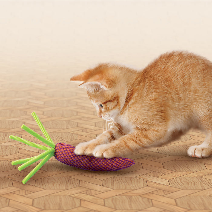 20% OFF: Kong Nibble Carrot Cat Toy (Assorted Colour)