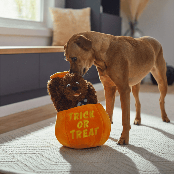 Shop The Paw Halloween Chewbacca In A Pumpkin 🎃  Plush Squeaky Dog Toy