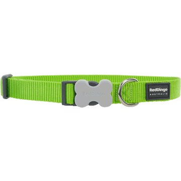 Red Dingo Classic Lime Green Bucklebone Dog Collar