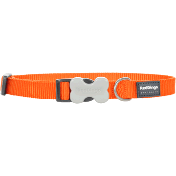 Red Dingo Classic Orange Bucklebone Dog Collar