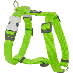 Red Dingo Classic Lime Green Dog Harness