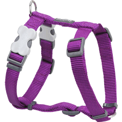 Red Dingo Classic Purple Dog Harness