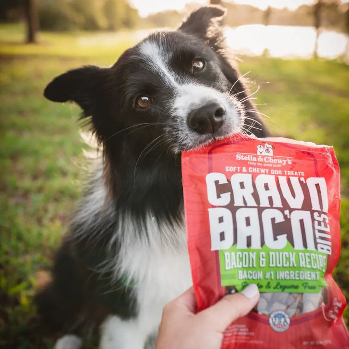 Stella & Chewy's Crav’n Bac’n Bites Bacon & Duck Recipe For Dogs