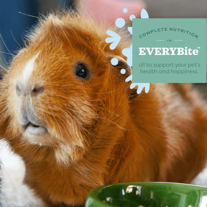 20% OFF: Oxbow Essentials Adult Guinea Pig Food