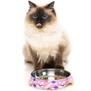 15% OFF: FuzzYard Atlantica Easy Feeder Cat Bowl