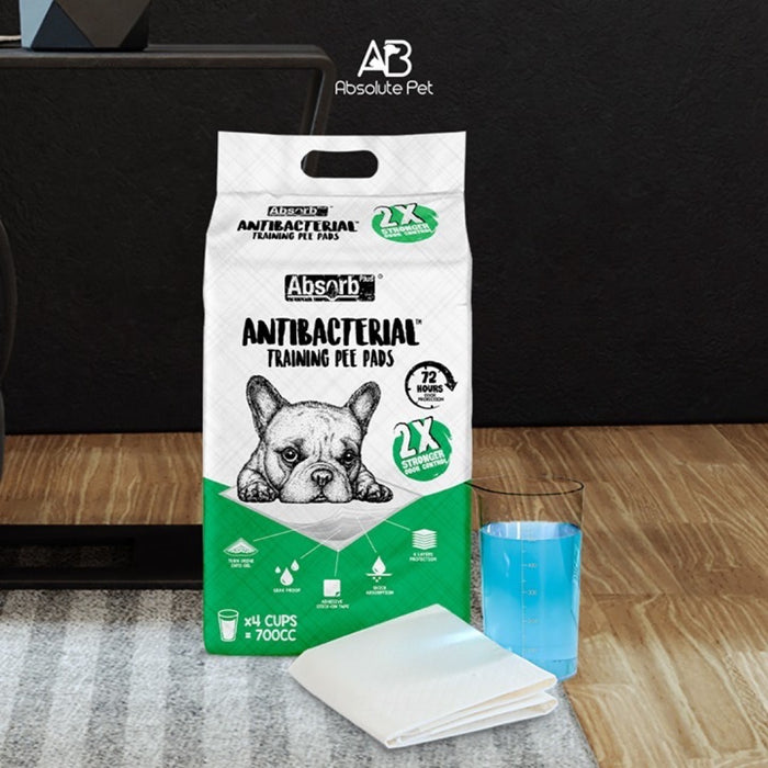 [PAWSOME BUNDLE] 2 FOR $29.90: Absorb Plus AntiBacterial Training Pee Pad