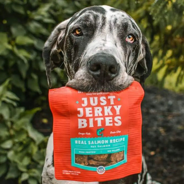 Stella & Chewy's Just Jerky Bites Real Salmon Recipe For Dogs