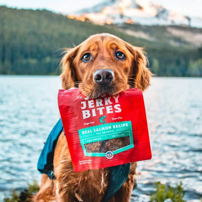 Stella & Chewy's Just Jerky Bites Real Salmon Recipe For Dogs