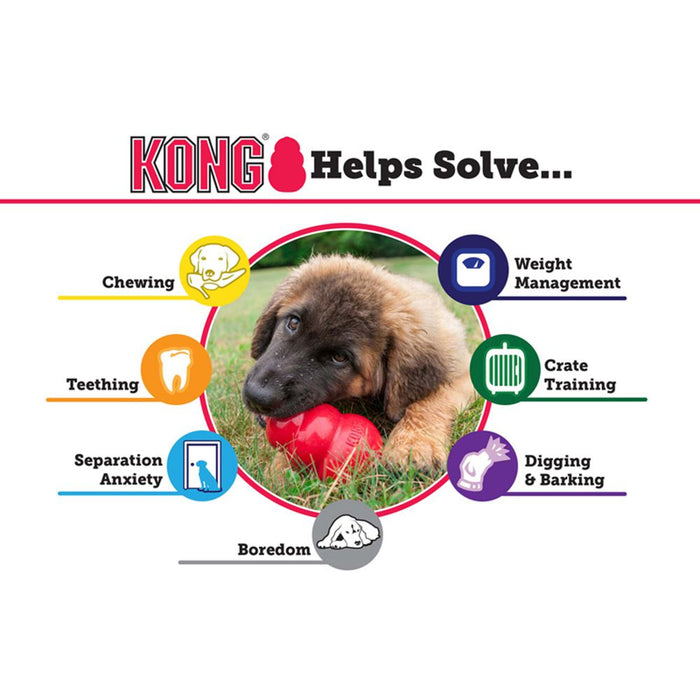 20% OFF: Kong® Puppy Dog Toy (Assorted Colour)