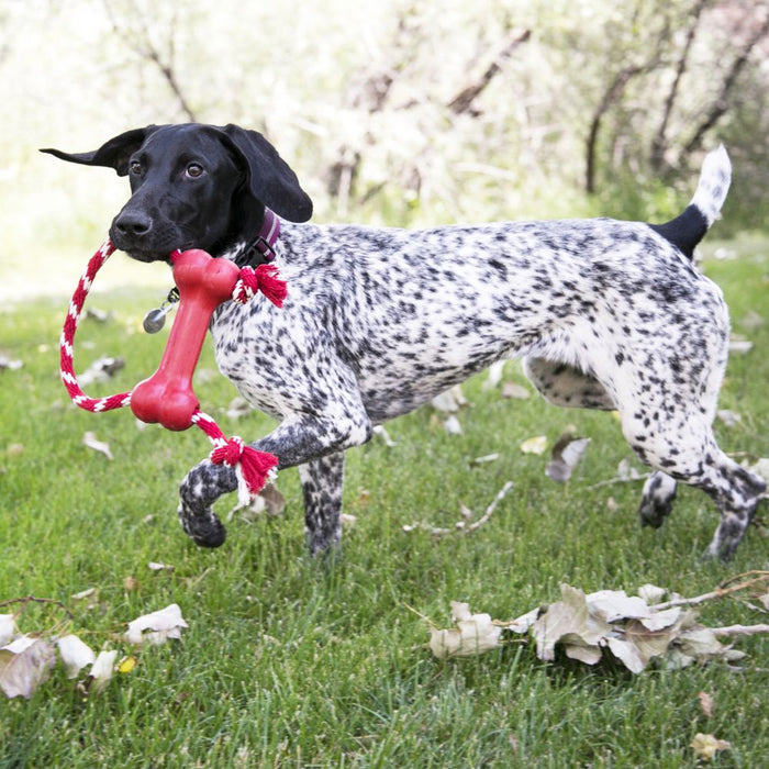 20% OFF: Kong® Classic Goodie Bone™ with Rope Dog Toy