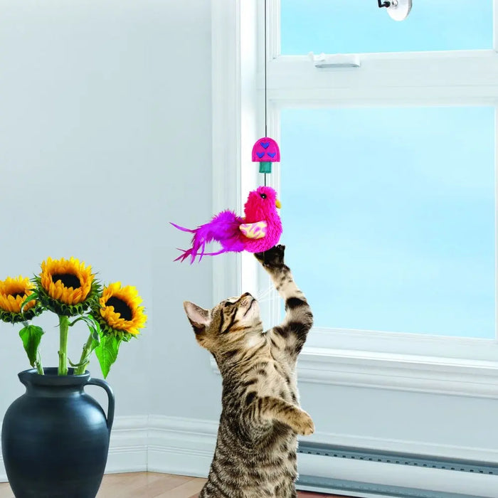20% OFF: Kong Connects Window Teaser Cat Toy (Assorted Colour)