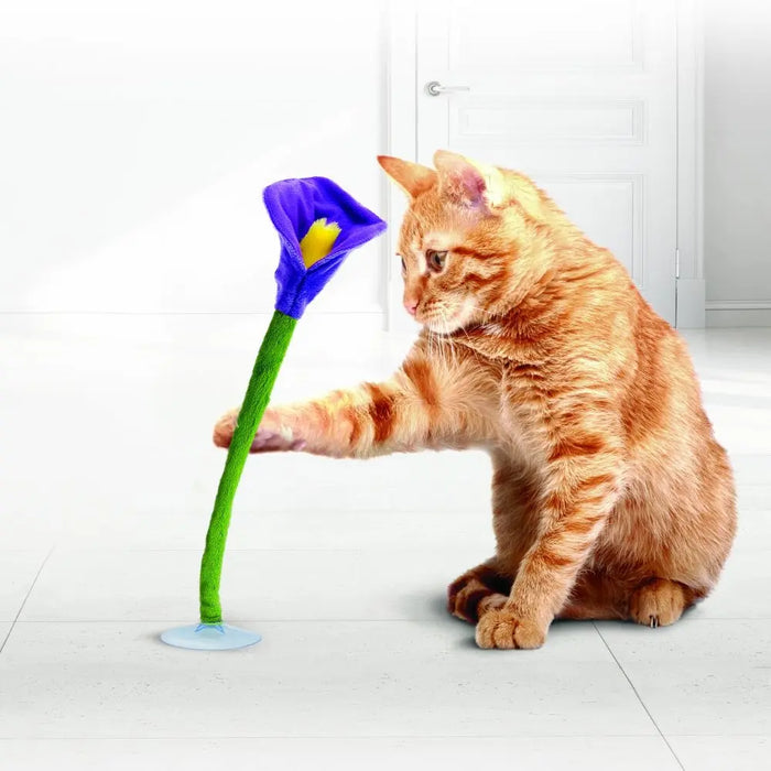 20% OFF: Kong Connects Bloomz Cat Toy (Assorted Colour)