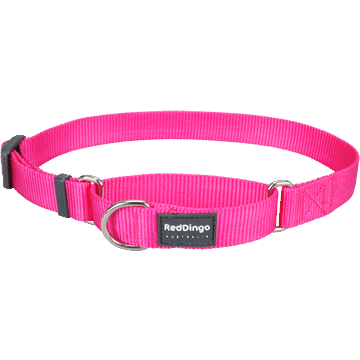 Red Dingo Classic Hot Pink Martingale Half Check Collar