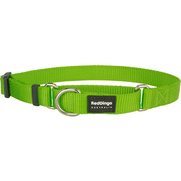 Red Dingo Classic Lime Green Martingale Half Check Collar
