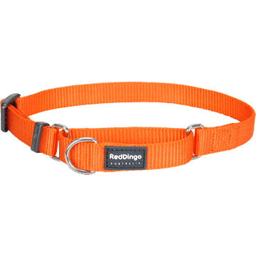 Red Dingo Classic Orange Martingale Half Check Collar