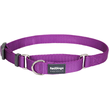 Red Dingo Classic Purple Martingale Half Check Collar