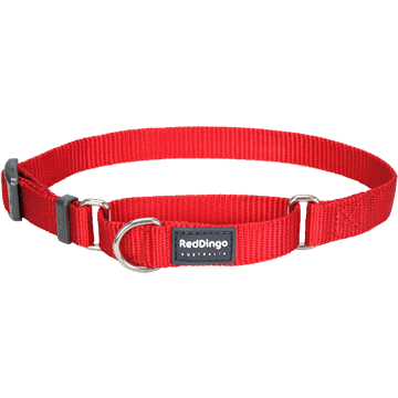 Red Dingo Classic Red Martingale Half Check Collar