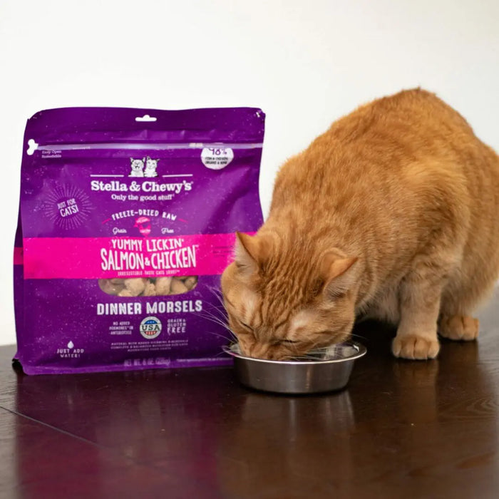 Stella & Chewy's Freeze-Dried Raw Yummy Lickin’ Salmon & Chicken Dinner Morsels For Cats