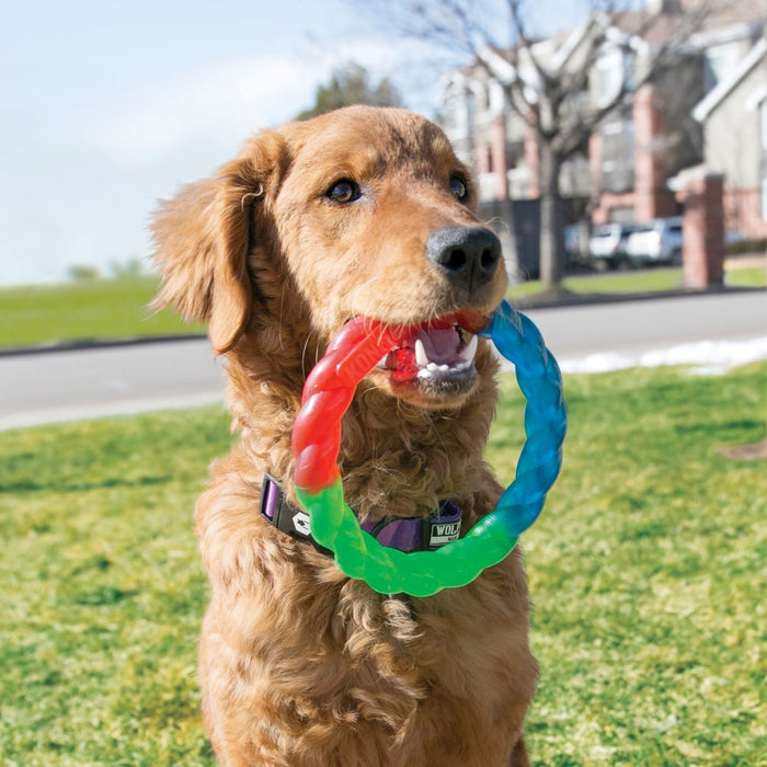 20% OFF: Kong® Twistz Ring Dog Toy