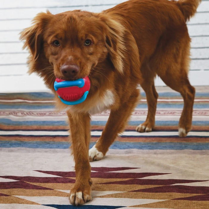 20% OFF: Kong® Jaxx Brights Ball Dog Toy (Assorted Colour)