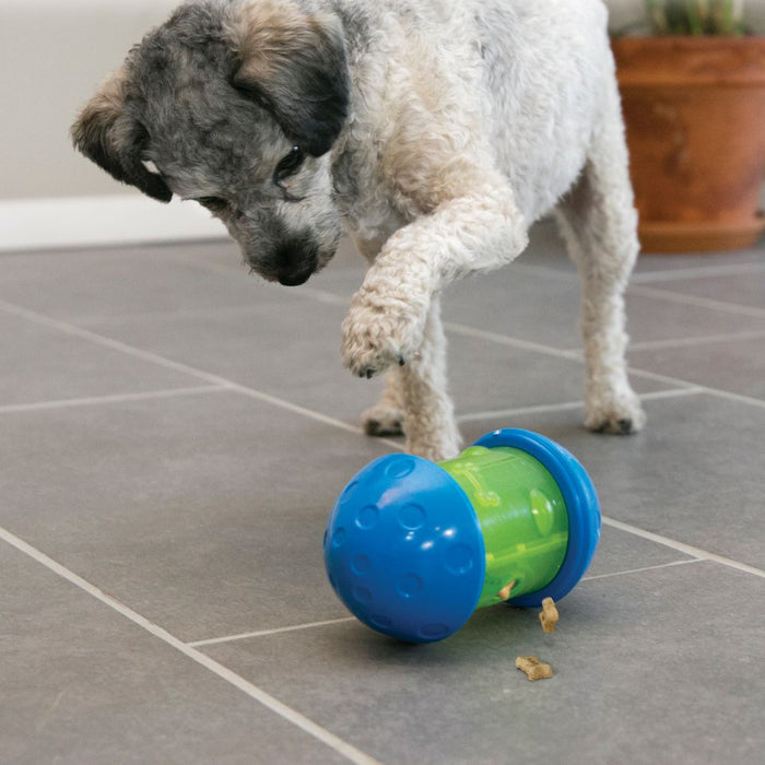 20% OFF: Kong® Spin It Dog Toy
